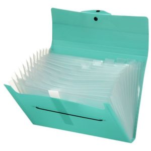 Carpeta Sanfonada ACP Oficio 12 Div.